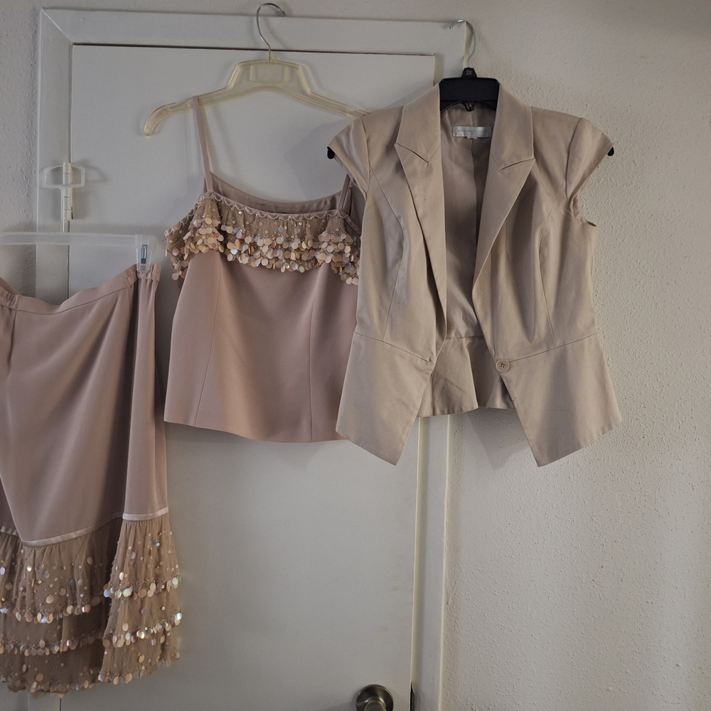 Terani Couture Beige Skirt Set